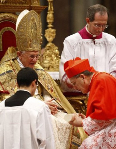 Burke-Cardinal-2.jpg