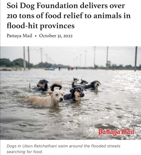 Capture d’écran 2023-06-07 à 18.09.48.jpg