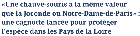 Capture d’écran 2024-03-14 à 16.52.54.png