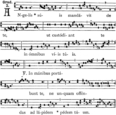 Screenshot_2021-02-20 LU533.png