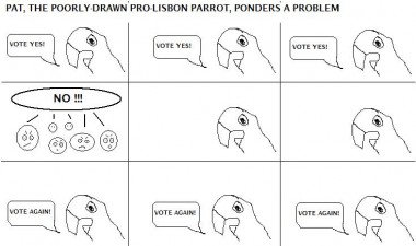 pat_the_parrot.jpg