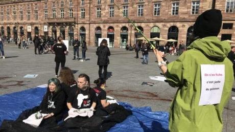 Screenshot_2019-03-30 A Strasbourg, une mise en scène choc de militants antispécistes contre la pêche et l’exploitation des[...].png