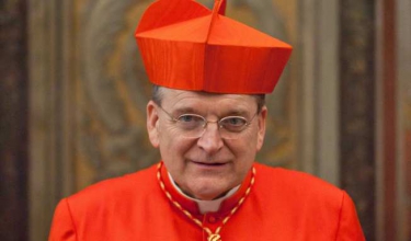 cardinal_burke2_653_384_55_s_c1.jpg