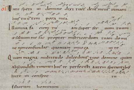 codex saint-gall XIe.png