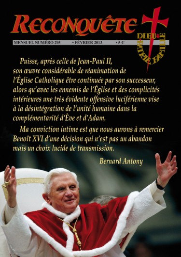 REC 295internet-1.jpg