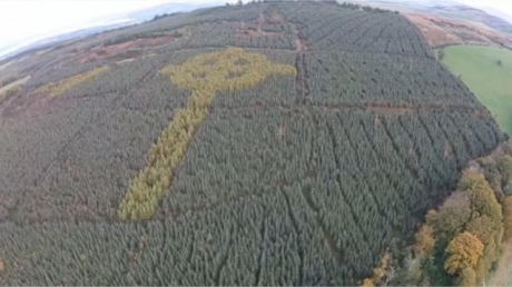 une-mysterieuse-croix-celtique-apparait-au-survol-d-une-foret-irlandaise.jpg