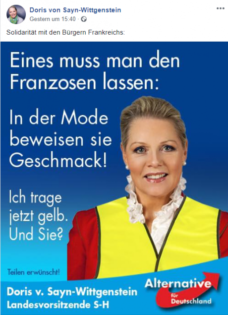 mode-beratung-doris-sayn-wittgenstein-afd-landesvorsitzende-in-schleswig-holstein-warb-fuer-die-gelben-westen-.png