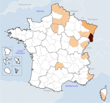 Capture d’écran 2020-04-03 à 11.34.47.png