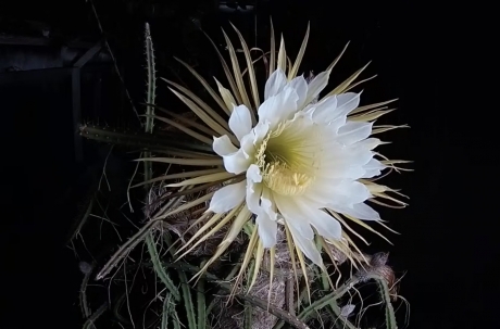 Capture d’écran 2024-05-24 à 16.19.36.jpg