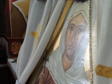 410372.p.jpg