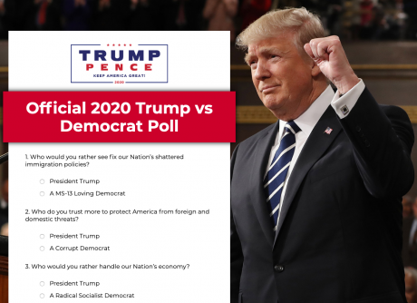 Screenshot_2019-07-11 Official 2020 Trump vs Democrat Poll(1).png