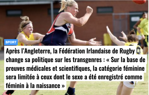 Capture d’écran 2022-08-11 à 13.59.12.png