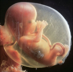 Capture d’écran 2021-06-22 à 15.57.18.png