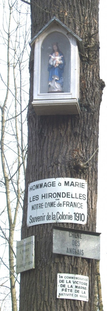 Chene des Anglais(1).jpg