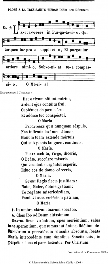 Languentibus-1.jpg