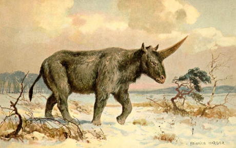 Elasmotherium1.jpg