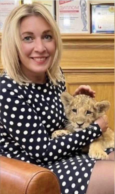 Capture d’écran 2023-07-27 à 15.54.05.jpg