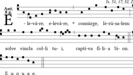Screenshot_2020-12-14 GregoBase - Elevare elevare.png