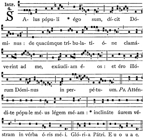 in_salus_populi.jpg