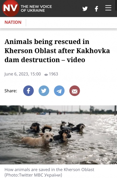 Capture d’écran 2023-06-07 à 18.05.35.jpg