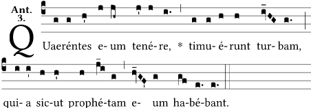 Screenshot_2021-03-04 GregoBase - Quaerentes eum tenere.png