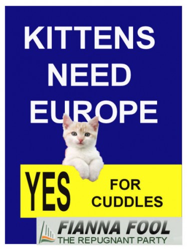 kittens.jpg