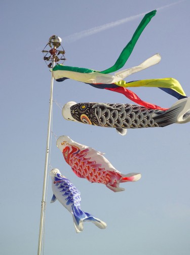 koinobori.jpg