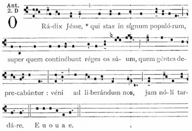 19 Dec O Radix Jesse.jpg