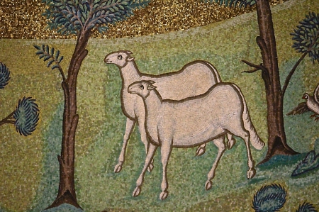 agneaux 7.jpg