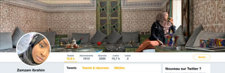 Screenshot_2019-04-13 Zamzam Ibrahim ( ZamzamMCR) Twitter.png