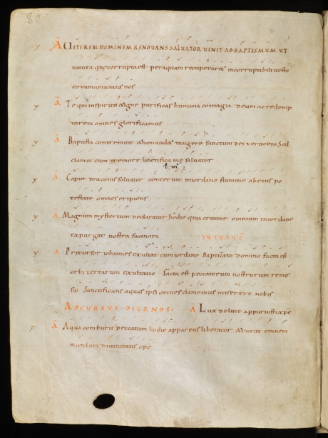 e-codices_csg-0390_080_large.jpg